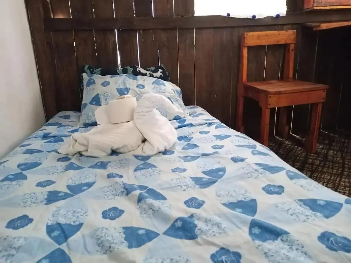 Séjour chez l'habitant Appartement Sustainable Cabain à Cozumel